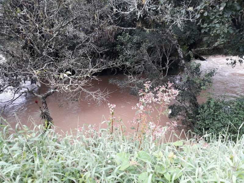 THE RIVER SORROUNDING THE PROPERTY